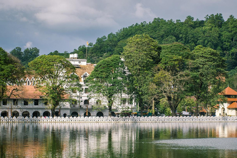 Wycieczka do miasta Kandy z Kolombo - (Kandy Sightseeing Tour)