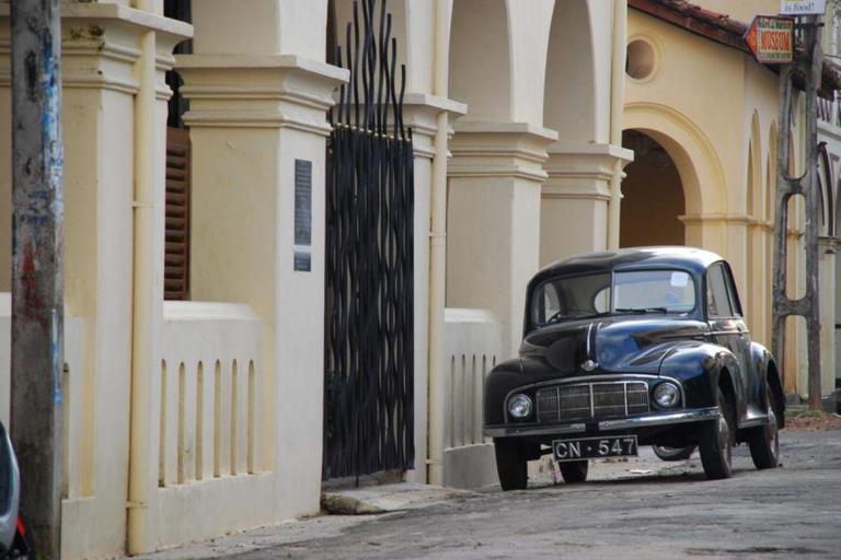 From Colombo: All Inclusive Galle Day Trip with Turtle Beach