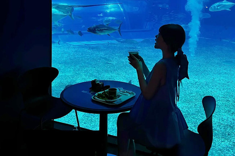 Kumejima : aquarium Churaumi d&#039;Okinawa, Manzamo, parc de l&#039;ananasBanque SMBC Shinjuku West Exit 9h30 (week-end et jours fériés 8h30)