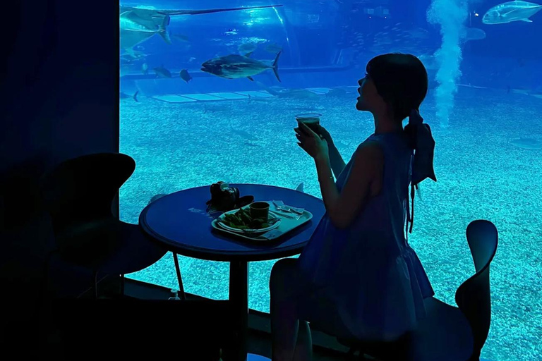 Kumejima : aquarium Churaumi d&#039;Okinawa, Manzamo, parc de l&#039;ananasBanque SMBC Shinjuku West Exit 9h30 (week-end et jours fériés 8h30)