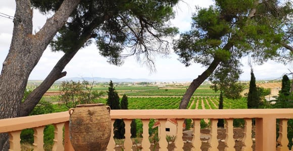 Valencia: Tagestour zur Höhle und Weinkellerei Utiel-Requena mit Verkostung