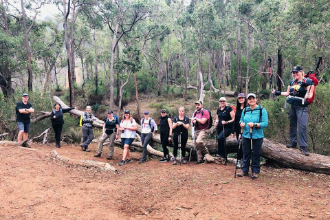 Perth: Cascate, fiori selvatici e l&#039;esperienza escursionistica di Wandoo