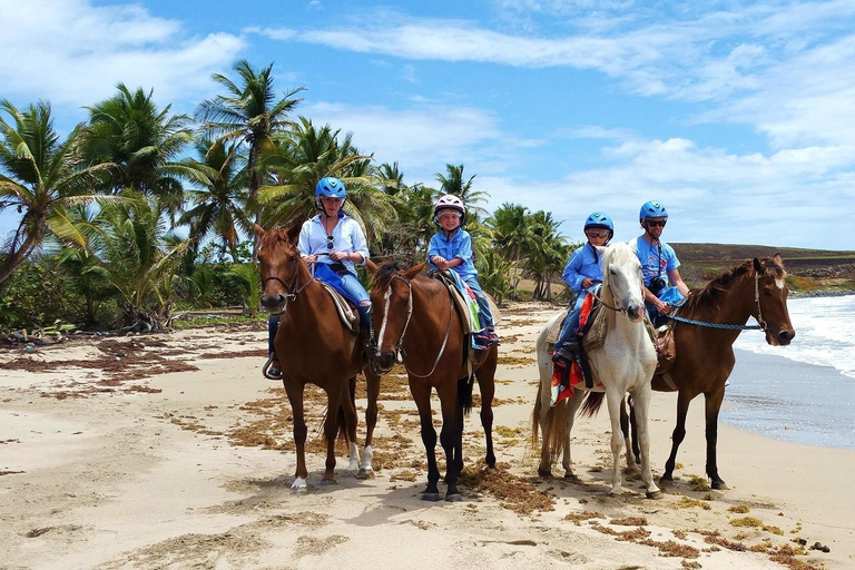 Saint Lucia Horseback Riding: Explore the Island in Style