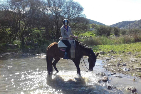 Valladolid: Horseback Riding Tour through Countryside