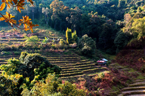 Chiang Mai : Doi Inthanon, chutes d'eau et villages tribaux