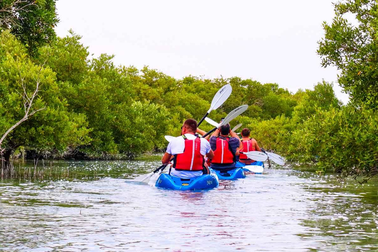 Al Khor: Kajakpaddling i mangroveskogen