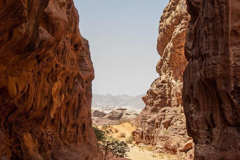 Wadi Rum: 2-Day Desert Tour with Camp, Meals, & Guide