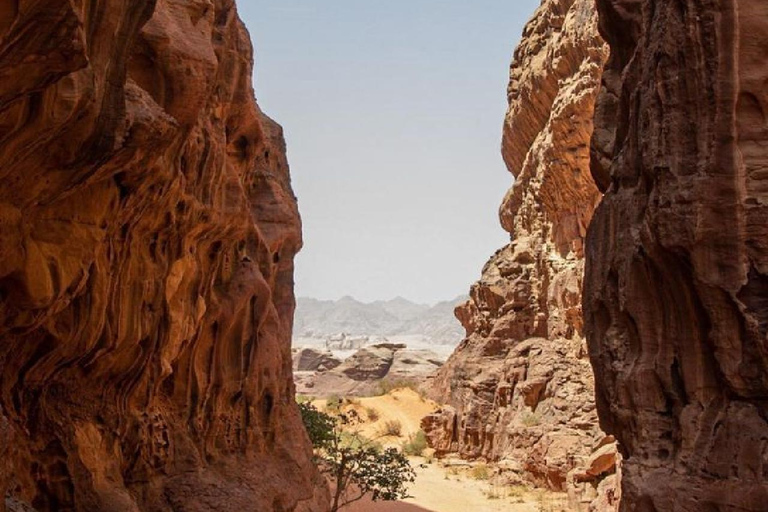 Wadi Rum: 2-Day Desert Tour with Camp, Meals, & Guide