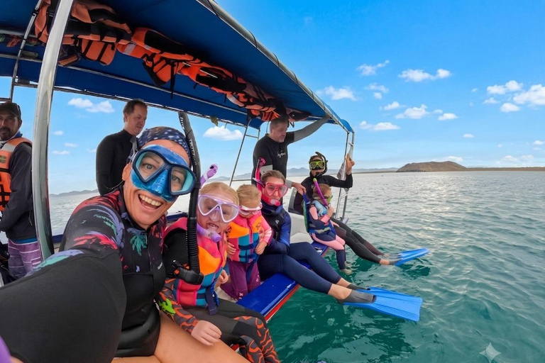 La Paz: Whale Shark, Sea Lions & Balandra Tour