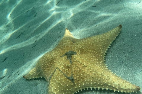 Bocas del Toro: tour en barco por Playa Estrella con guía