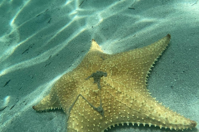 Bocas del Toro: tour en barco por Playa Estrella con guía