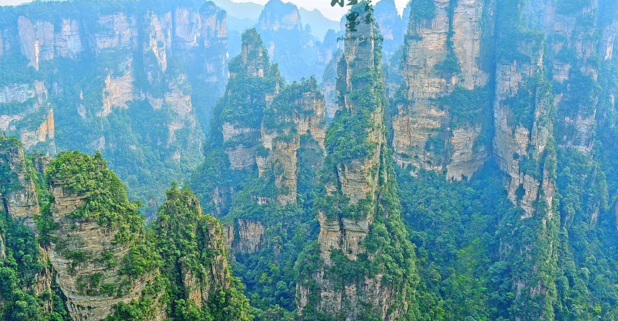 One Day Zhangjiajie National Forest Park Package Tour - Housity