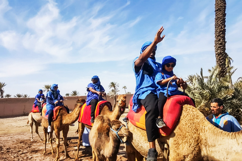 Marrakesch: Kamelritt im PalmenhainMarrakesch: 3 Stunden privater Kamelritt im Palmenhain