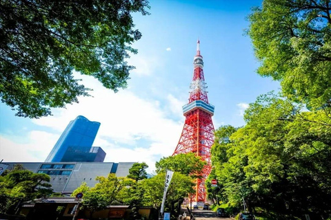 Tokyo: Private 1-Day Tour with English-Driver, Customizable
