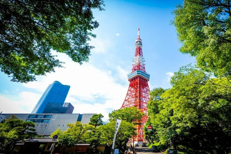 Tokyo: Private 1-Day Tour with English-Driver, Customizable