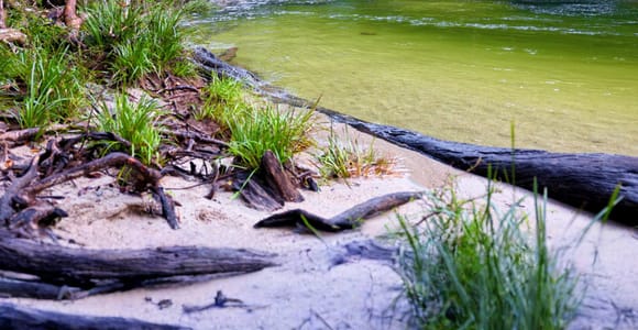 Cairns: 5-Day Guided Indigenous Kuku Yalanji Glamping Tour