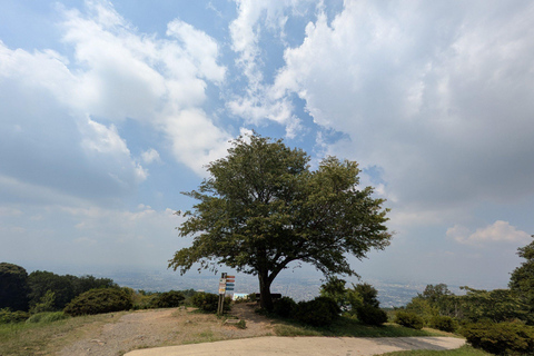 Nara: Mt. Ikoma Guided Hiking Tour with Cable Car and Views