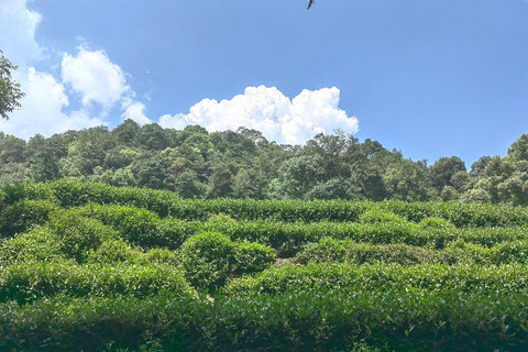 Hangzhou Jiuxi, Shililangdang & Yunqi Day Hiking Tour