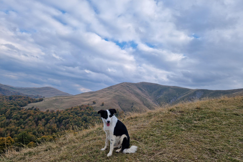 Ride Brașov’s Wild Trails with Daisy & Taste Local Life