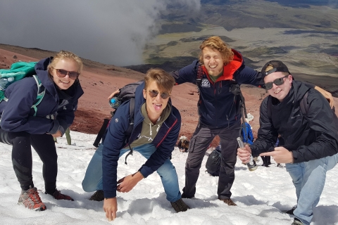 Vulkan Cotopaxi Tour: inklusive EingängeGemeinsame Cotopaxi Tagestour: Mit Mittagessen und Eintritt
