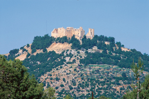 Escursione a Jerash e al Castello di AjlounEscursione di un giorno a Jerash e al Castello di Ajloun