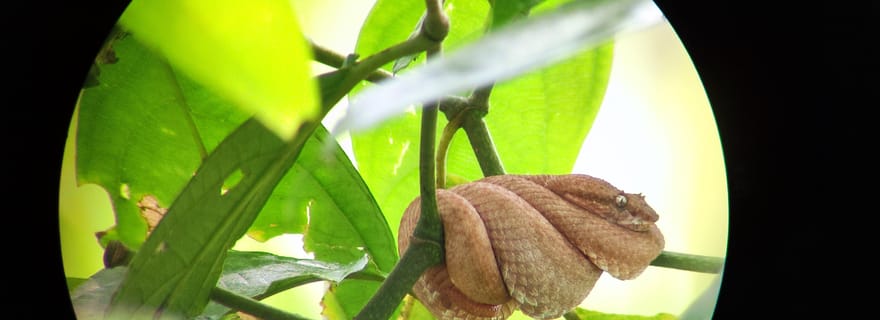 Puerto Viejo ; Refugio gandoca Manzanillo+Fabrication de chocolat Bribri & chute d'eau