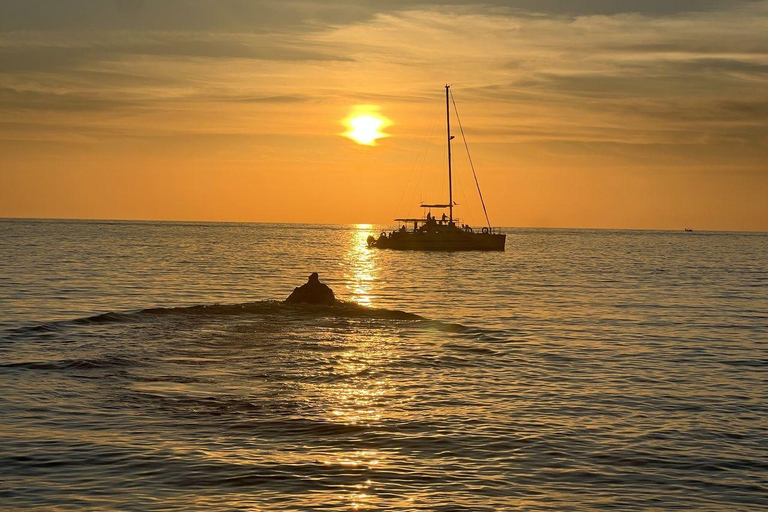 Penang: Sharing Monkey Beach Route Sunset Cruise