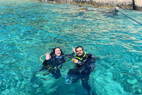 Marmaris: Full-Day Scuba Diving Trip with Lunch & Pickup Scuba Diving Experience (Meeting Point)
