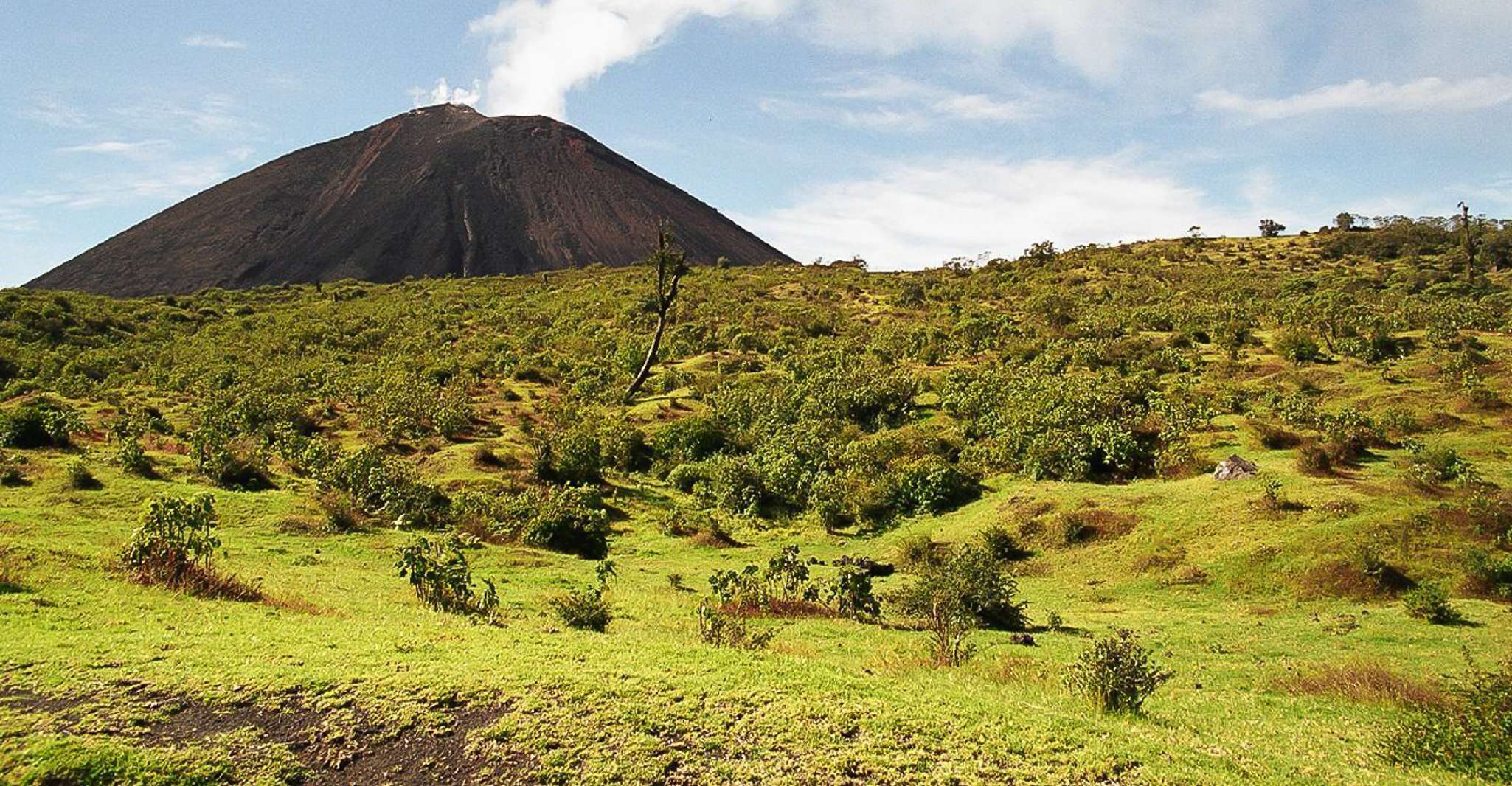 From Antigua, Pacaya Volcano Trek - Housity