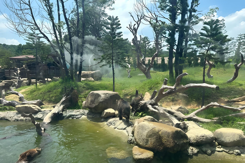 Qingyuan: Chimelong Forest Kingdom Ticket