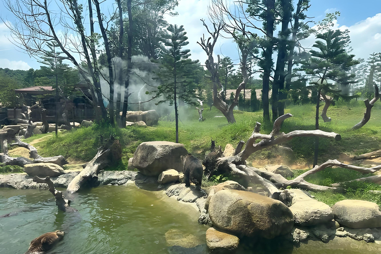 Qingyuan: Chimelong Forest Kingdom Ticket