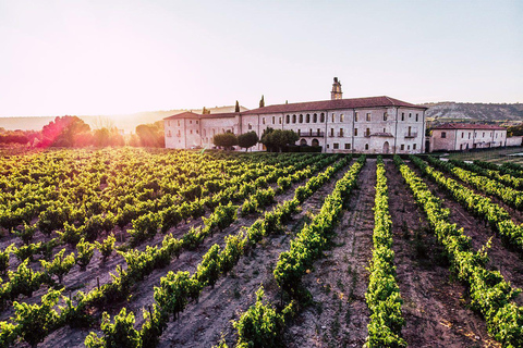 Discover Paracas, Ica and Nasca in a 2 days and 1 night trip ICA - PARACAS NASCA 2 DIAS