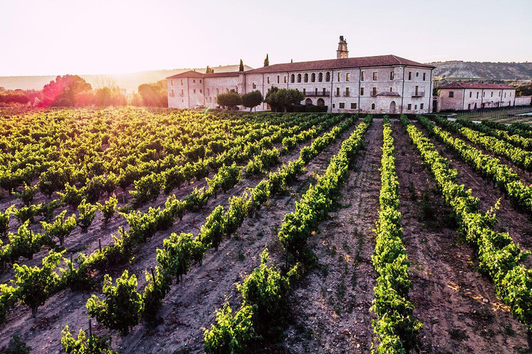 Discover Paracas, Ica and Nasca in a 2 days and 1 night trip ICA - PARACAS NASCA 2 DIAS