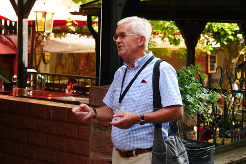 Rüdesheim am Rhein: city tour