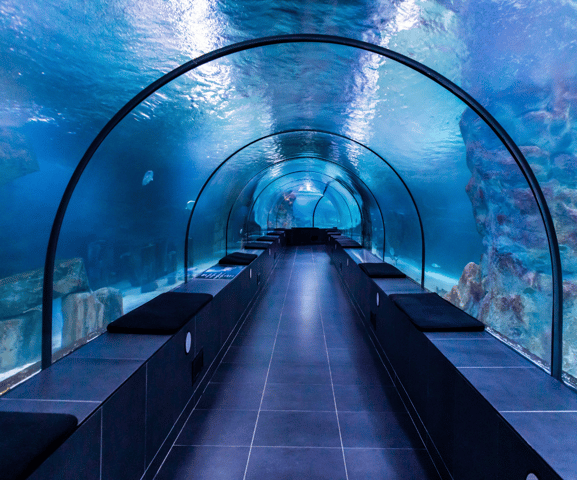 Istanbul: Aquarium Ticket with Shuttle Transfer