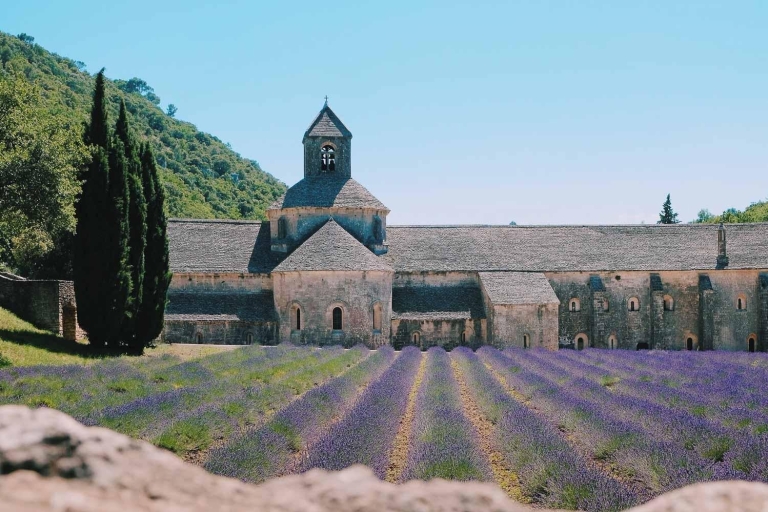 From Nice: The Grand Canyon of Europe & its Lavender Fields