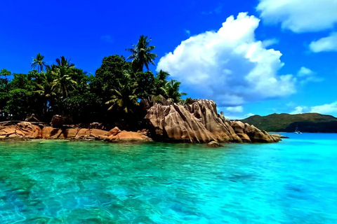 Schnorcheln im St-Pierre Marine Park und an der Anse Petite Cour