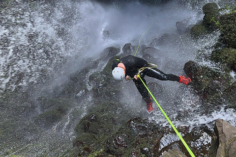 ماديرا: مغامرة ريبيرا فوندا المتقدمة للتجديف
