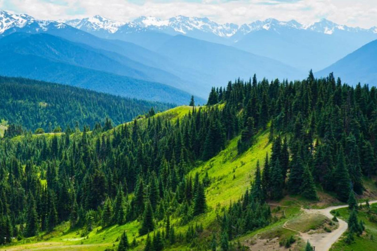 Small Group: Olympic National Park Day Tour From Seattle