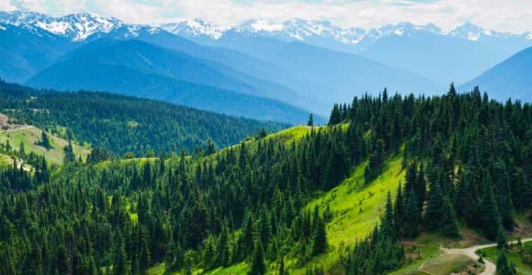 Seattle: Olympic National Park Full-Day Tour & Scenic Ferry
