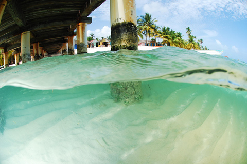 Isla Saona snorkling och safari med vilda djur: Allt inkluderat!