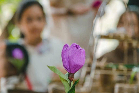 Da Nang-Hue Heritage Train Journey & Cultural Experience Hue to Da Nang Heritage Train Ticket (One Way - No Workshop)