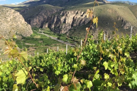 Vayots Dzor Wine Route Day Tour, discover Areni's Wineries