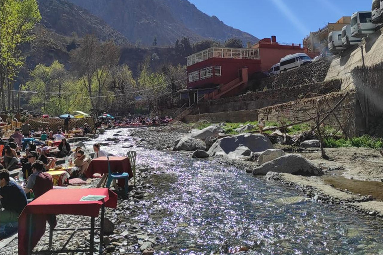 Marrakech : Private To Ourika Valley Atlas Mountains & Lunch Private Day Trip To Ourika Valley, Waterfalls With Lunch