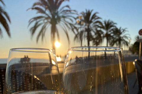 Nice: hidden wine tour with 3 wines and local aperitivo