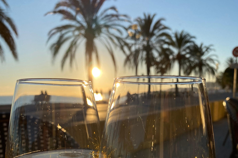 Nice: hidden wine tour with 3 wines and local aperitivo