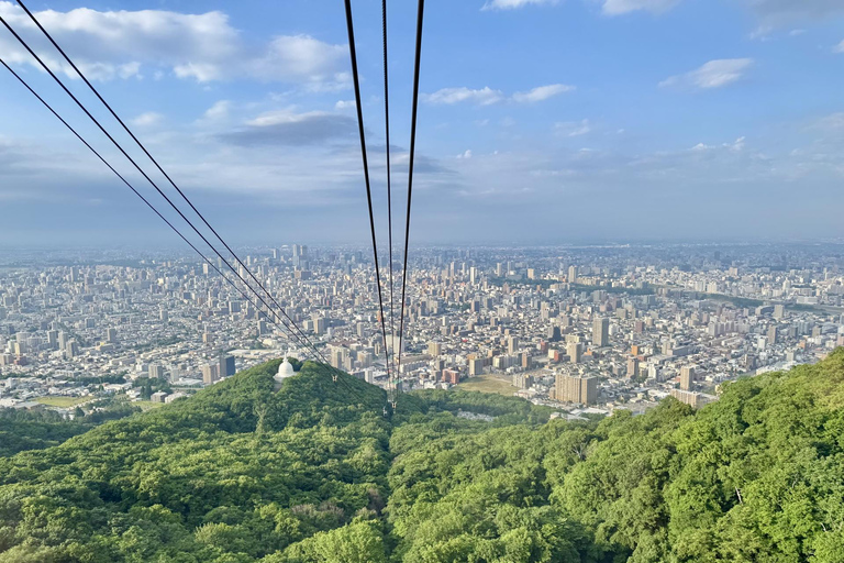 سابورو: جولة تلفريك جبل مويوا - ليلاً أو نهاراً، 4 خياراتاليوم – RT المحلي