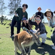 Newcastle: Animal Lovers Tour - Kangaroos, Dolphins & more!