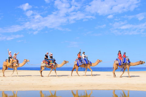 Cabo San Lucas: Passeio de Camelo e Aventura Combo de UTV Off-Road