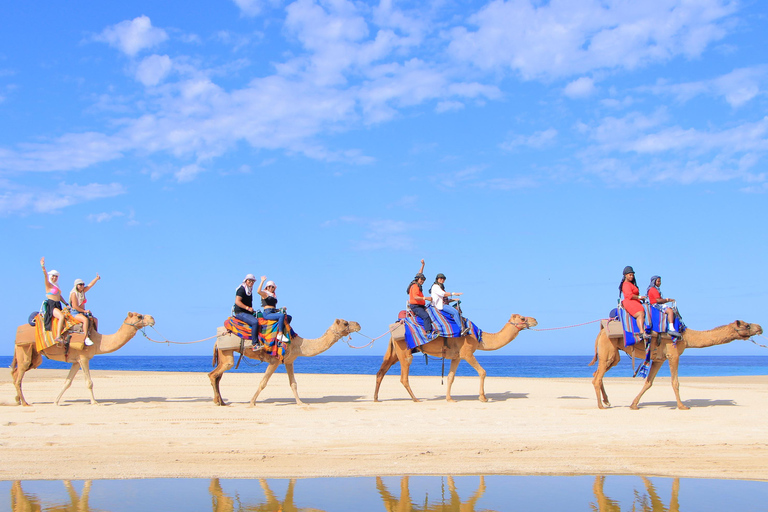 Cabo San Lucas: Passeio de Camelo e Aventura Combo de UTV Off-Road